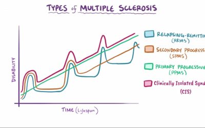 Exploring the Spectrum of Multiple Sclerosis: Different Types of MS